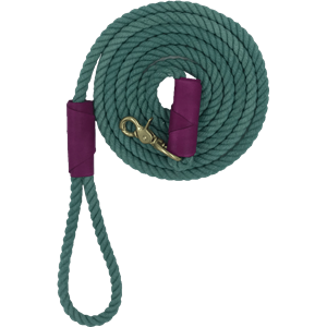 Leash PNG-72083